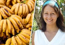 Are Bananas Bad For You When Trying To Lose Weight? Shocking Results Of A Woman Who Ate Only Bananas For 12 Days Are Bananas Bad For You When Trying To Lose Weight