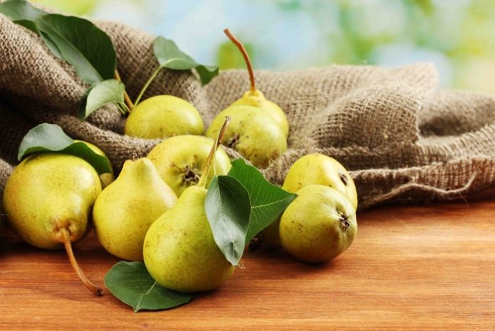 How many Calories in a Pear How many Calories in a Pear