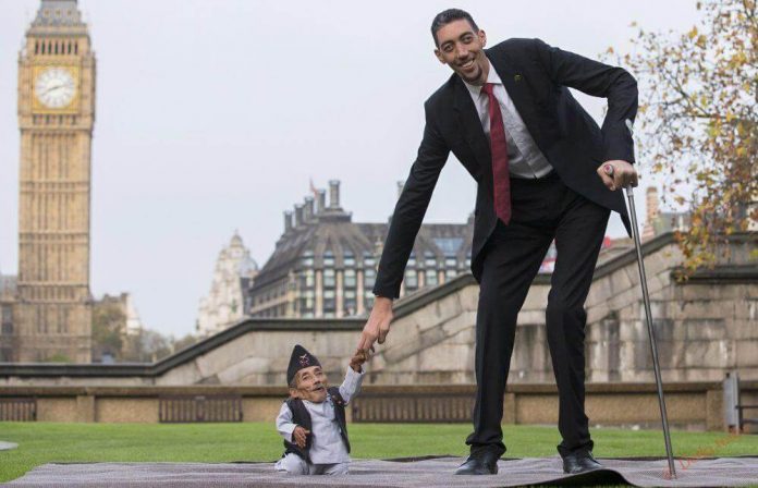 Gigantism Definition Gigantism Definition